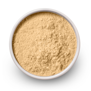 Rice Protein Powder
