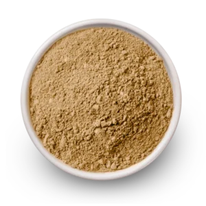 Maitake Mushroom Powder